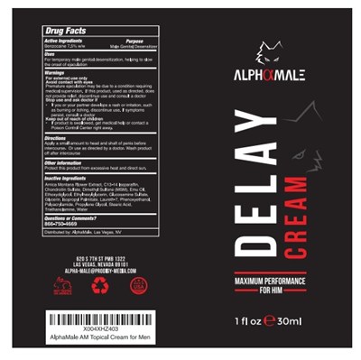 Am Delay Label (Am Delay Label)